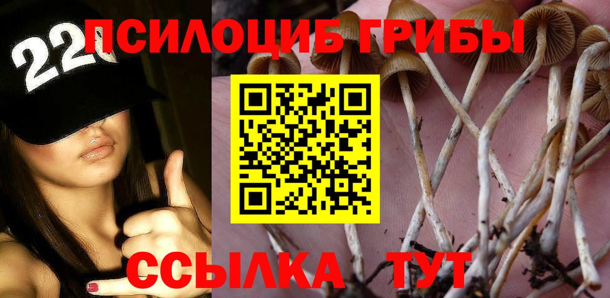 Псилоцибиновые грибы ЛСД  как найти наркотики  Губкинский  Вход с VPN  Галлюциногенные грибы мицелий 